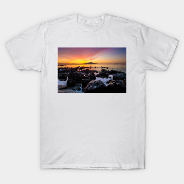 Ranagitoto Island T-Shirt by Apatche
